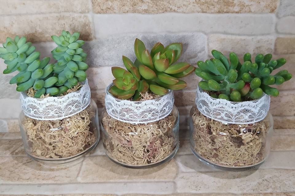 Mini terrário