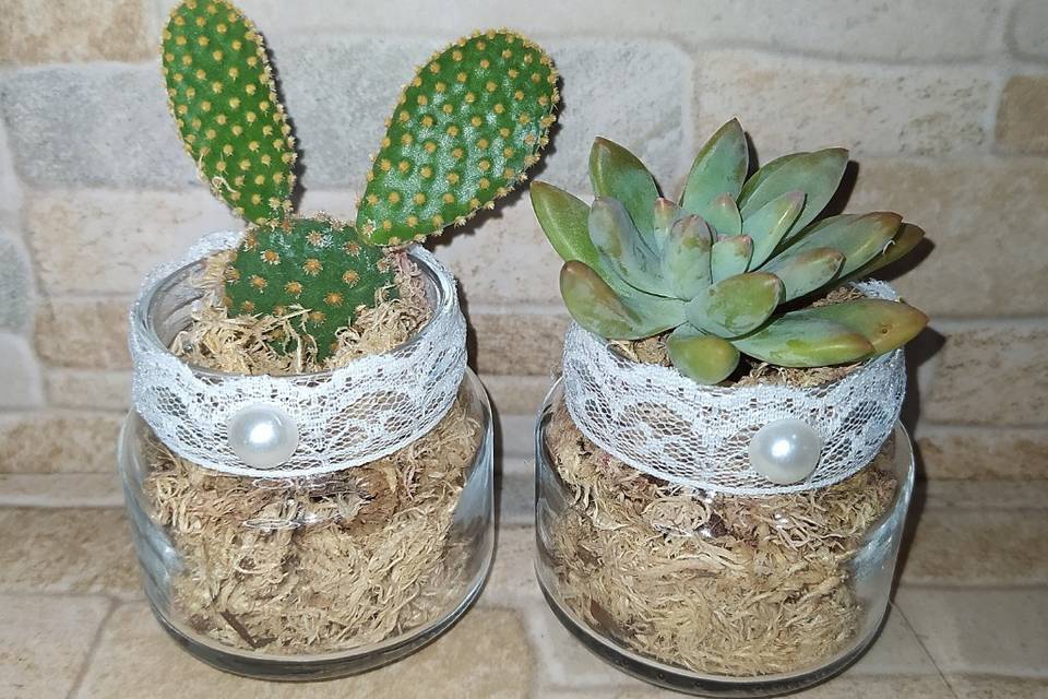 Mini terrário