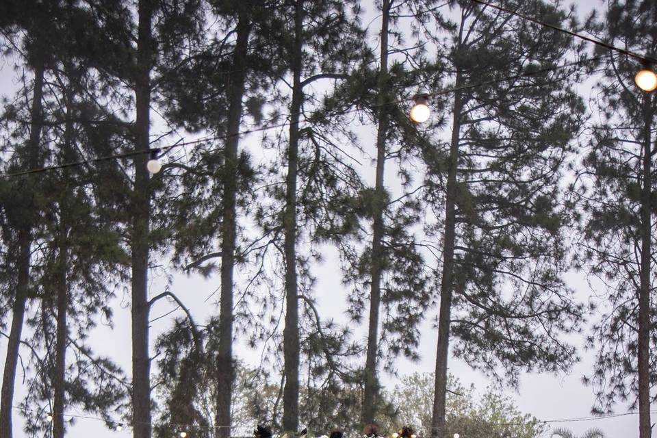 Casamento