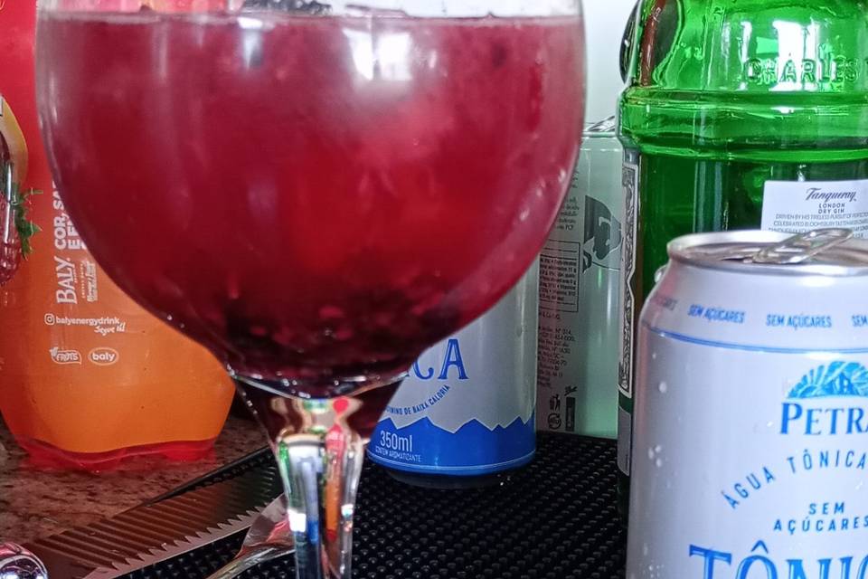 Gin tônica frutas vermelhas