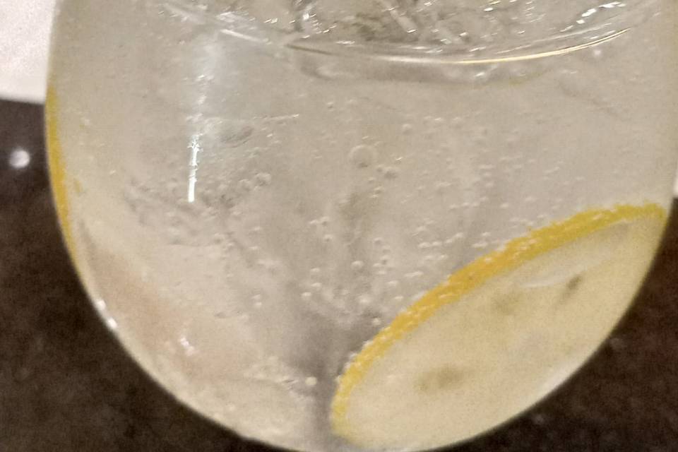 Gin tônica
