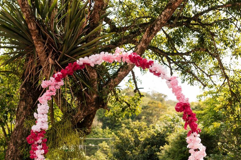 Arco de flores