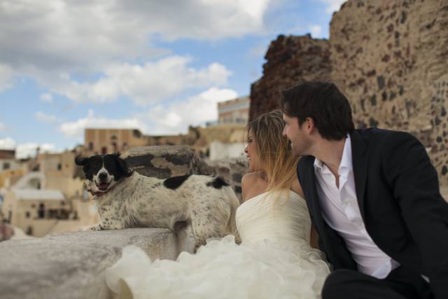 Trash the Dress