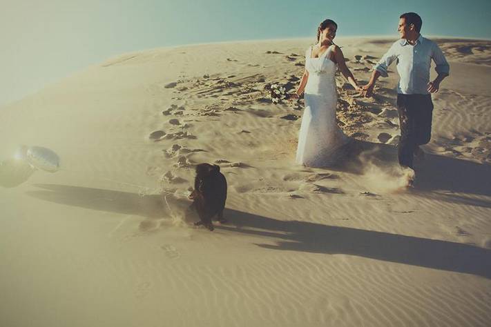 Trash the Dress