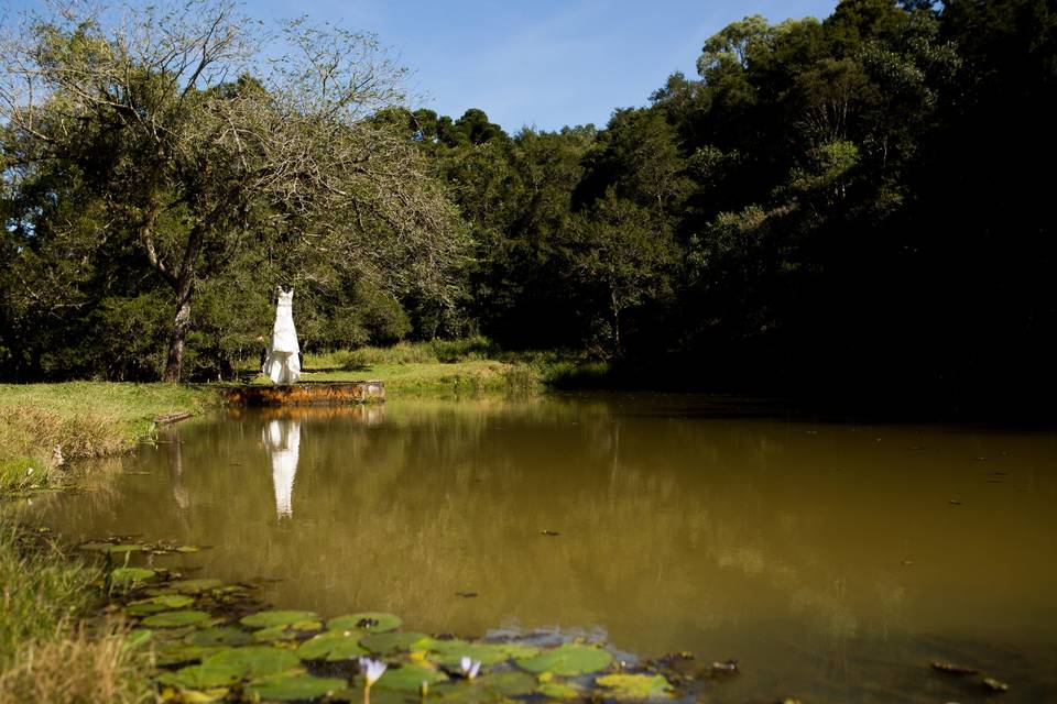 Arte de Eternizar Fotografia