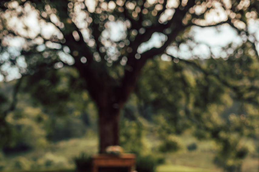 Garden decorado casamento