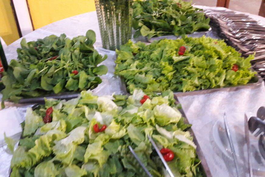Saladas verdes