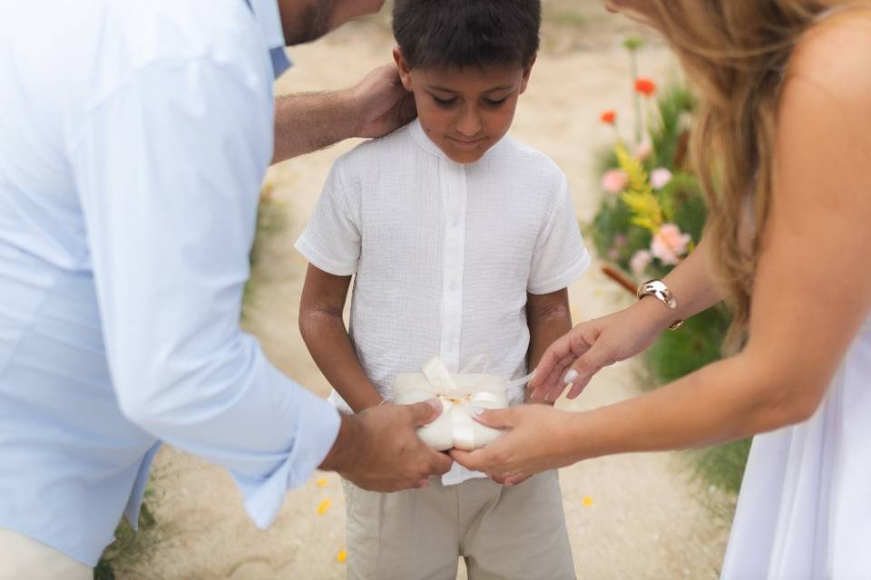 A chegada das alianças!