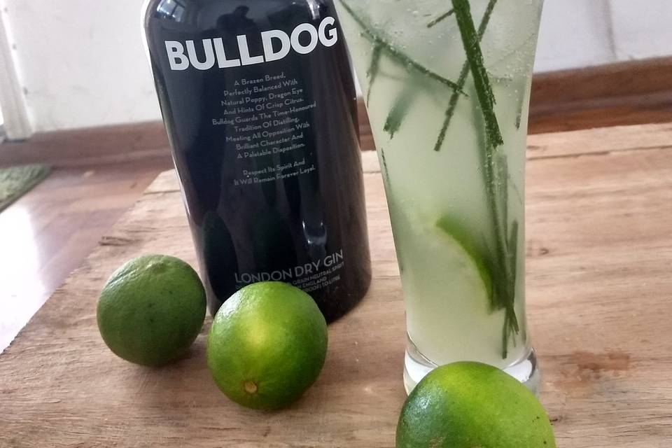 Gin, limão e cidreira