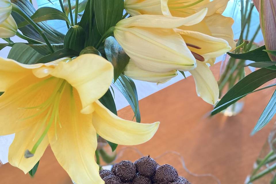 Brigadeiro 50%