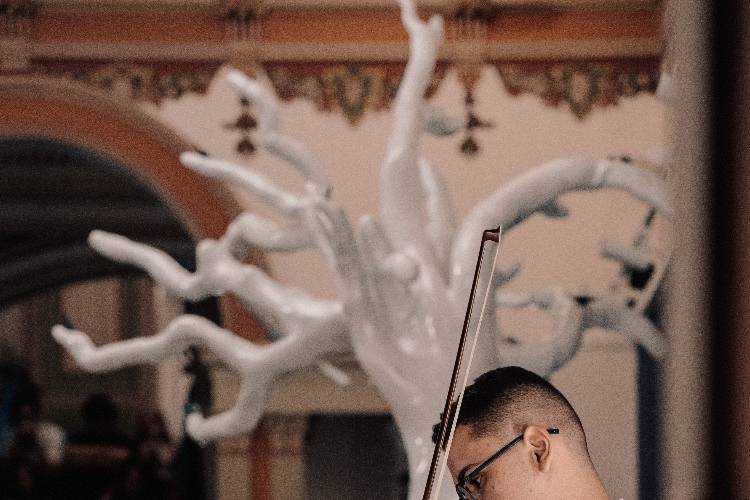 Violino