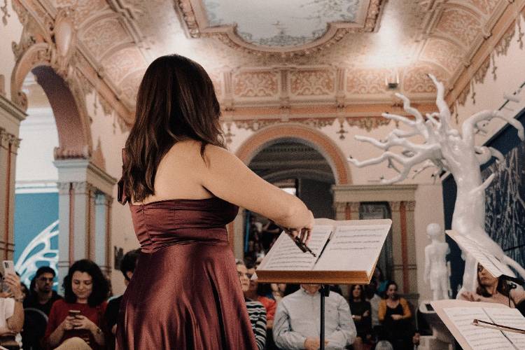 Violino