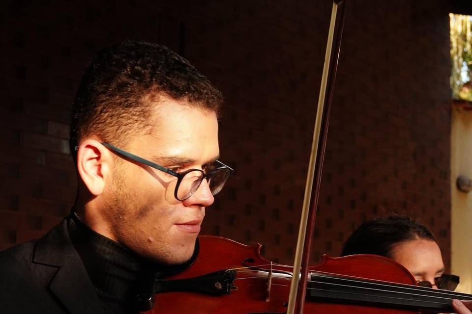 Violinista