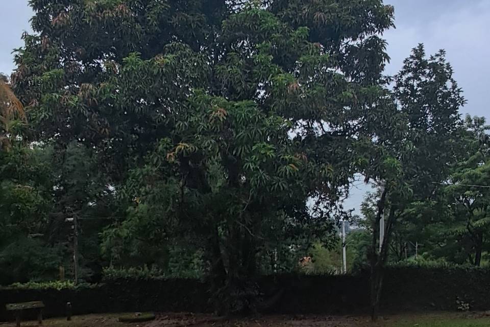 Espaço Pompéia