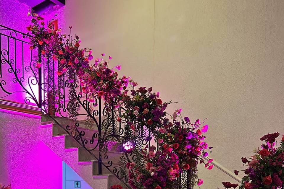 GRUPO VMH -SOLAR IMPERIAL