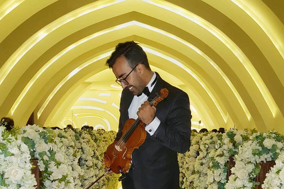 Gabriel Guedes Violinista