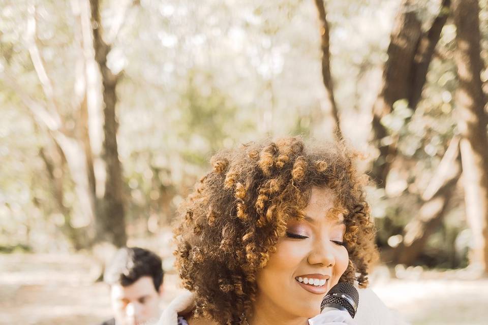 Toledo canto e prosa