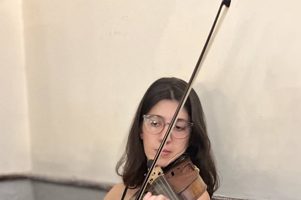 Violino, queridinho