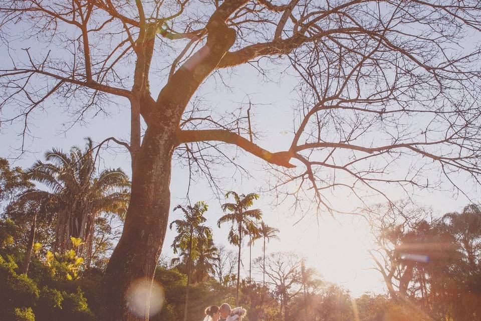 Trash the dress