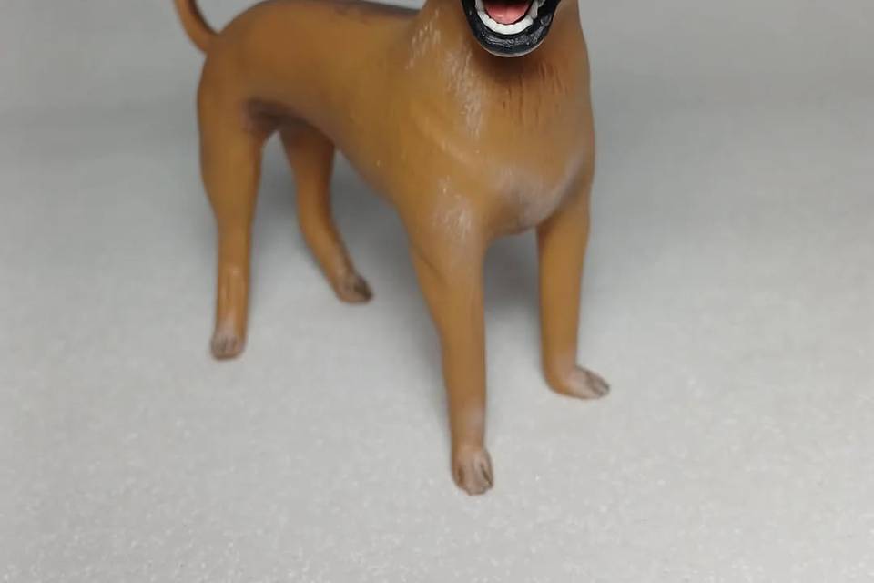 Topo de bolo
