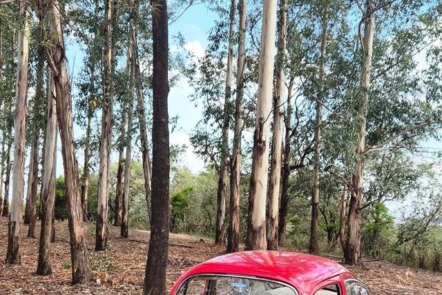 Fusca 1969