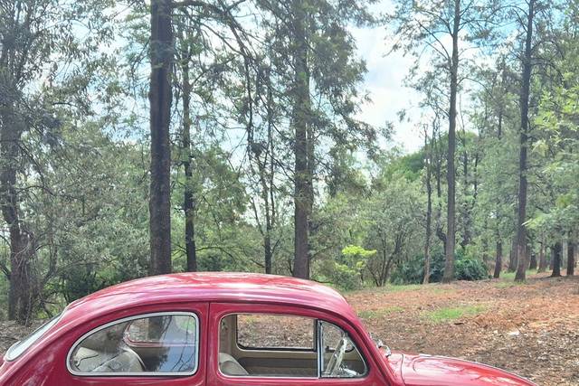 Fusca 1969