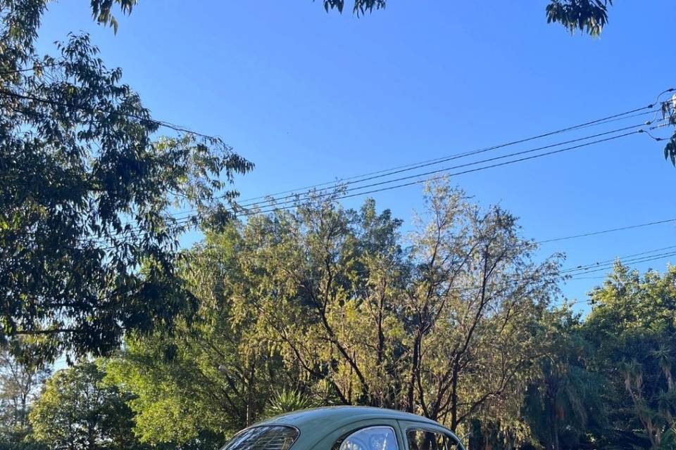 Fusca Verde Caribe 1968