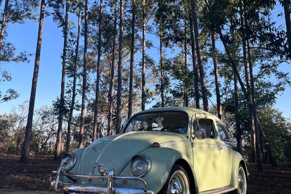 Fusca Verde Caribe 1968