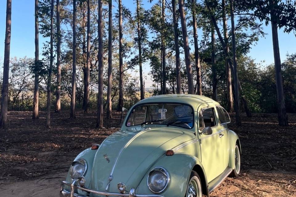 Fusca Verde Caribe 1968