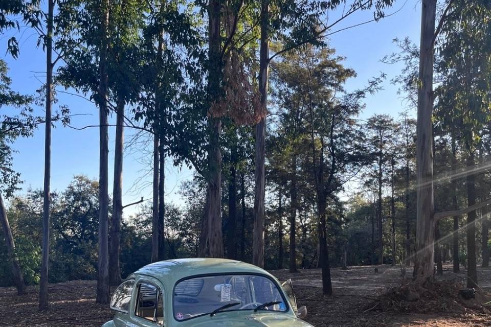 Fusca Verde Caribe 1968