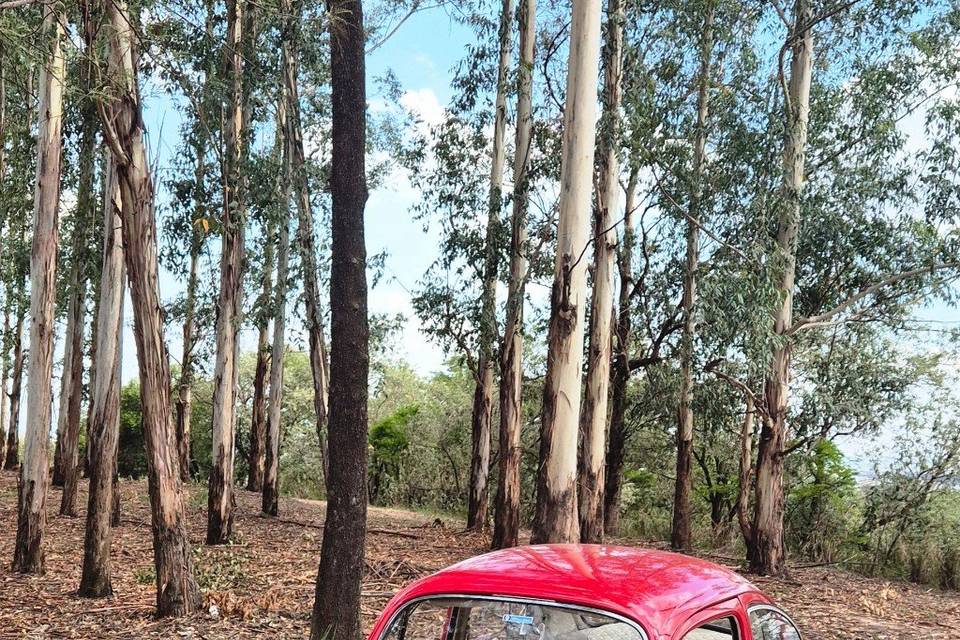 Fusca 1969