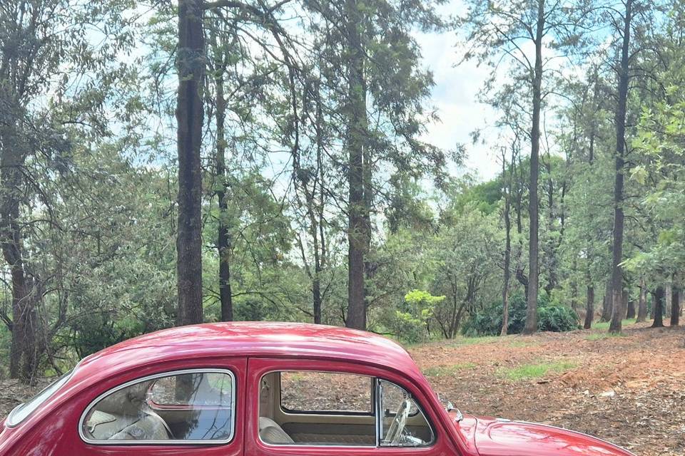 Fusca 1969