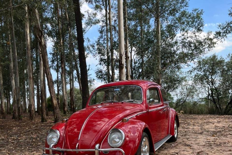 Fusca 1969