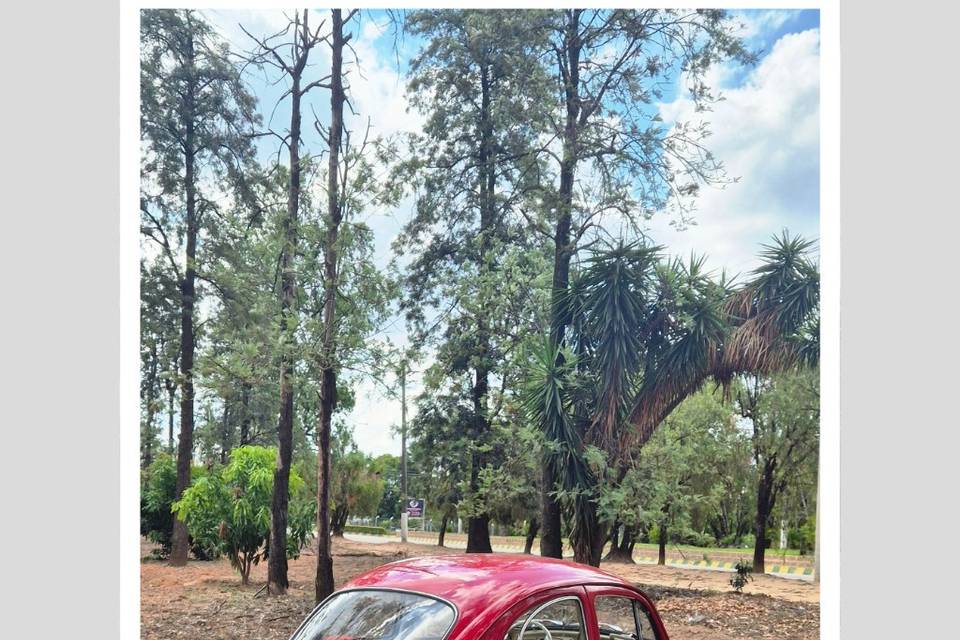 Fusca 1969