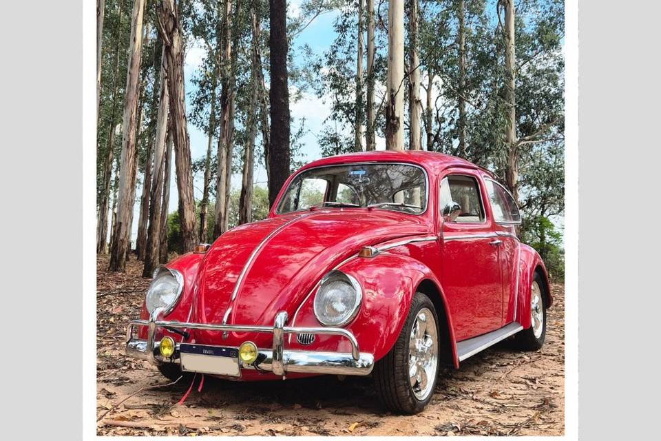 Fusca 1969