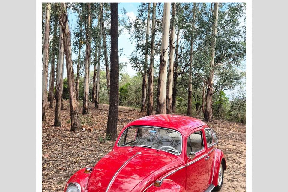 Fusca 1969