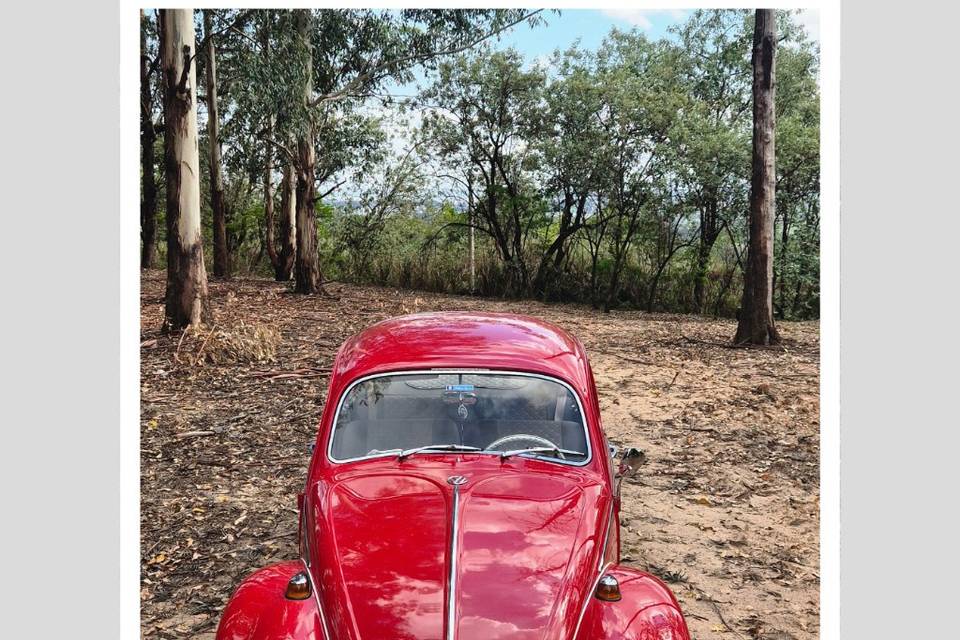 Fusca 1969