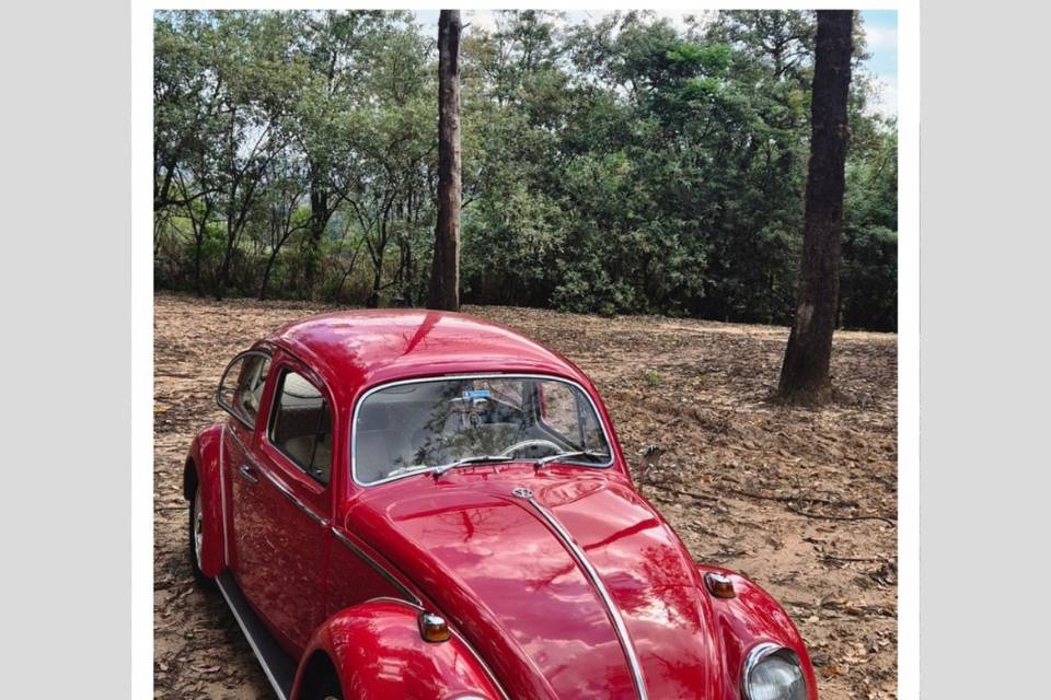 Fusca 1969