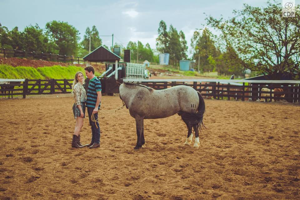 Pré casamento com cavalo