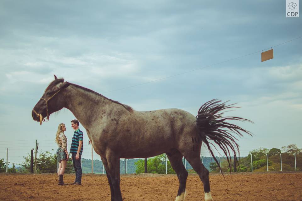 Pré casamento com cavalo