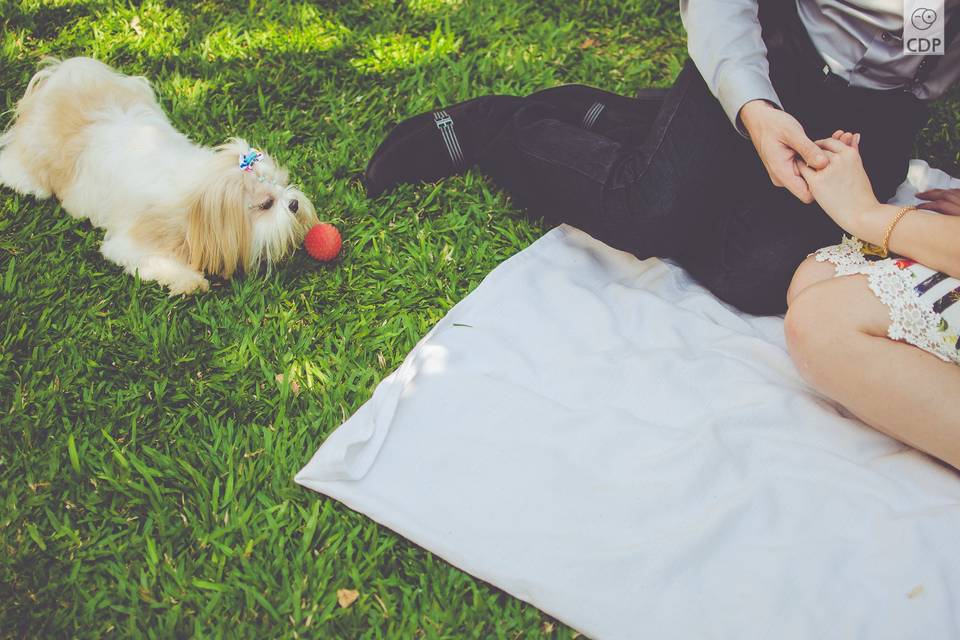 Pré casamento com cachorro