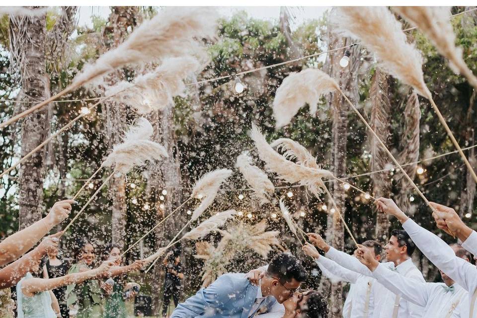 Pampas