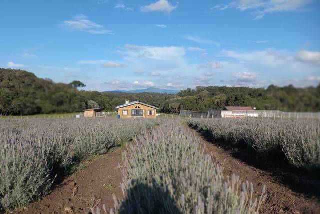 Rancho da Lavanda