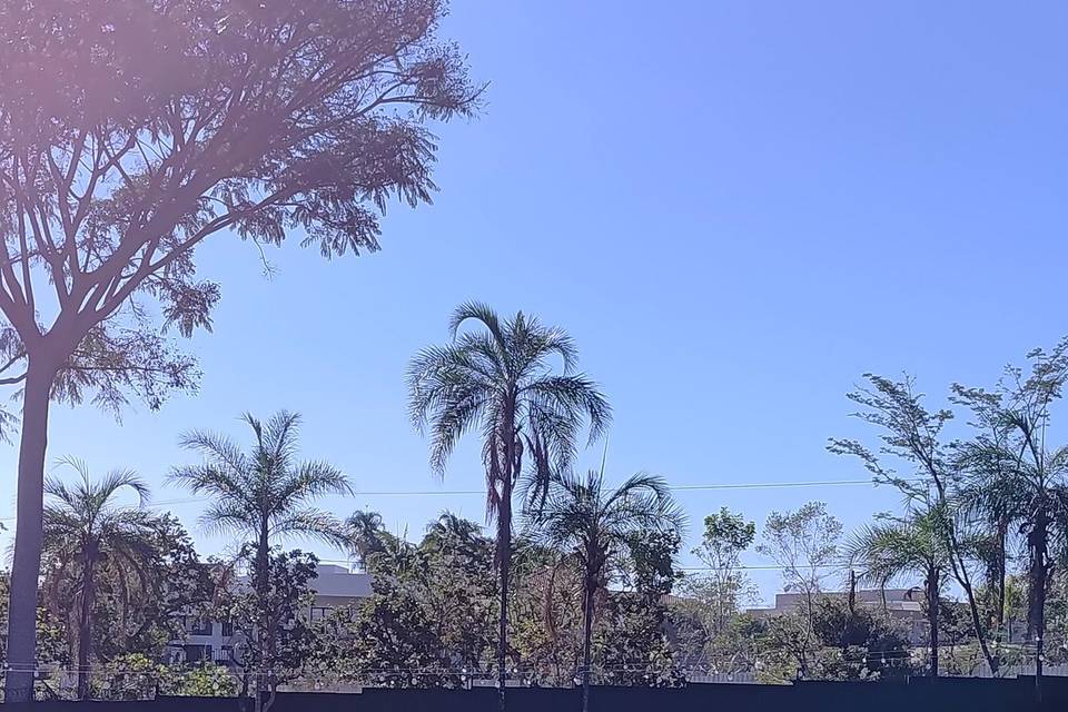 Preparativos para a Festa