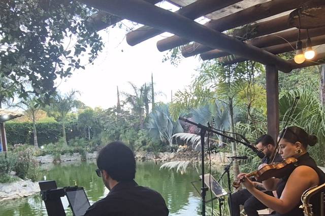 Quarteto