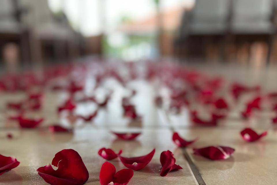 Caminho com flores.