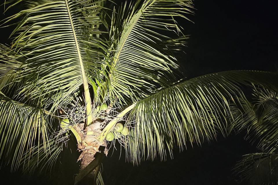 Detalhes