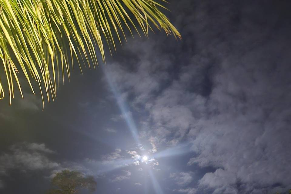 Espaço Lua Cheia