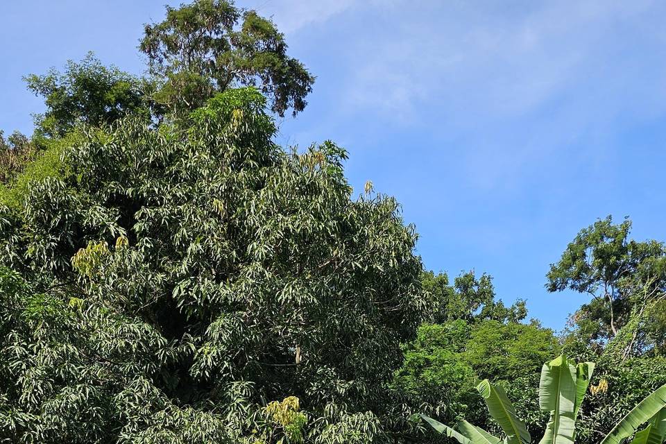 Deck do anfiteatro natural