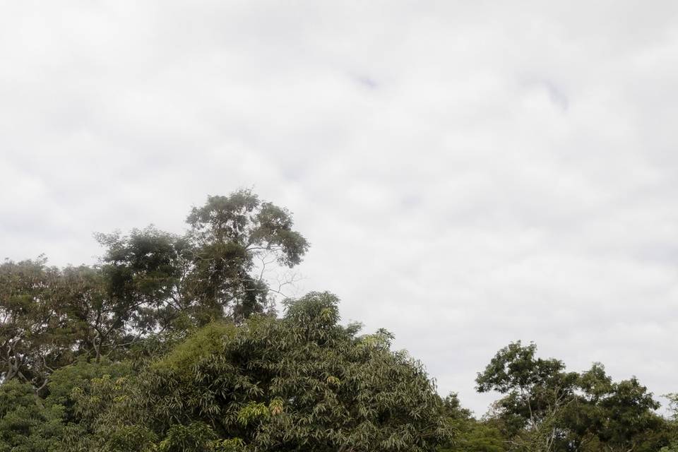 Cerimônia no Anfiteatro
